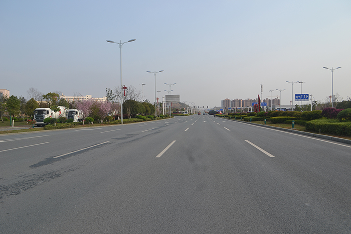進站路(世紀(jì)大道)